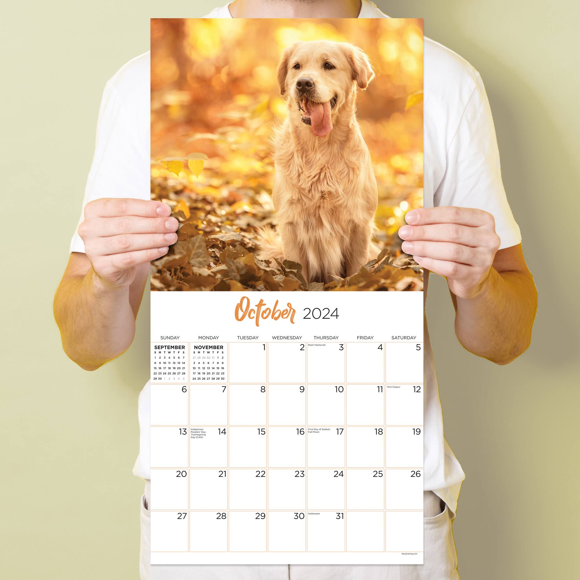 TF Publishing 2024 Golden Retrievers Wall Calendar